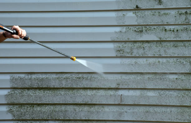 Best Pressure Washing Siding  in Leilani Estates, HI