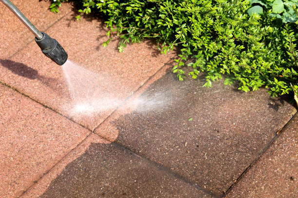 Best Pressure Washing Patio  in Leilani Estates, HI